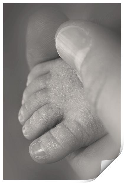 Baby foot in hand Print by Jonathan Pankhurst