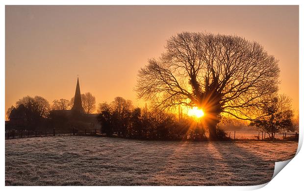 A Winters dawn Print by Steve Cole