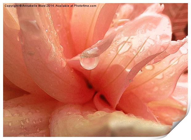 Petals and Droplets Print by Annabelle Ward