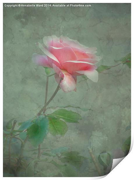 Rose Pink Print by Annabelle Ward