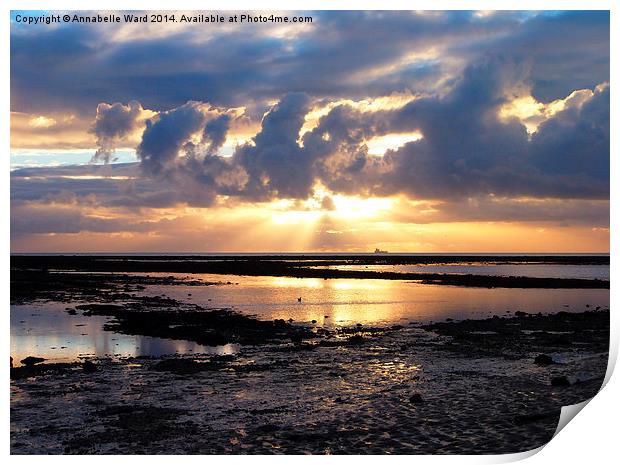 Solent Sunrise Print by Annabelle Ward