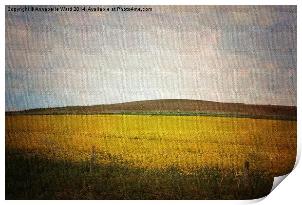 Field of Yellow Print by Annabelle Ward