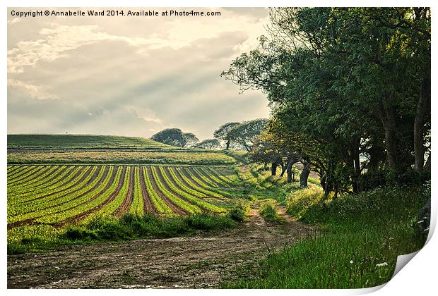 Crop and Countryside Print by Annabelle Ward