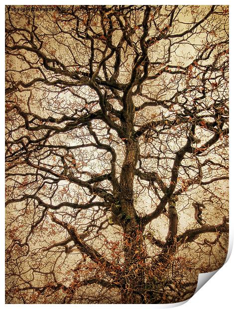 Autumn Love Tree Print by Annabelle Ward