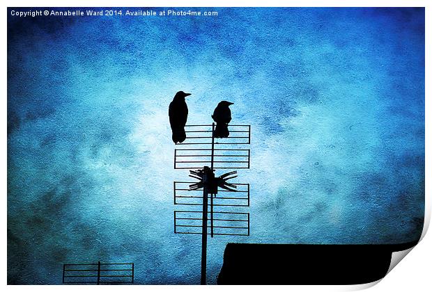  Two Crow Blues Print by Annabelle Ward