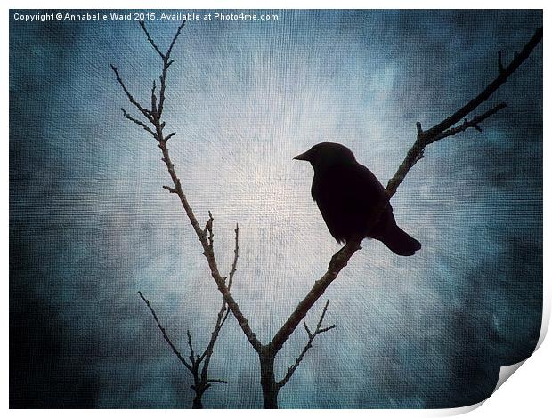  Jackdaw on Grey. Print by Annabelle Ward