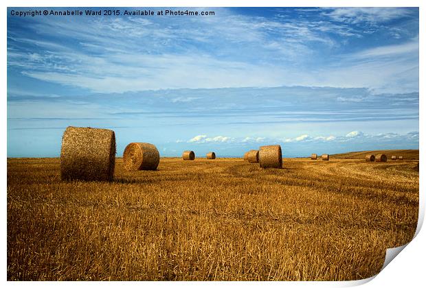  Straw Bale Fields Forever. Print by Annabelle Ward