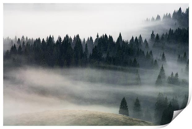 Morning fog flow Print by Sergiu Gabriel Mihu