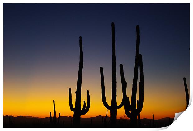 Arizona Sunset Print by Claudio Del Luongo
