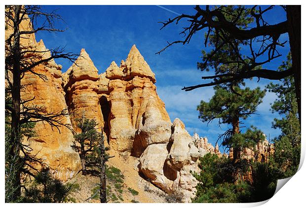 Rock towers, Bryce Canyon, Utah Print by Claudio Del Luongo