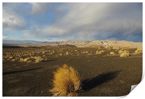 Near Ubehebe Crater, Death Valley Print by Claudio Del Luongo