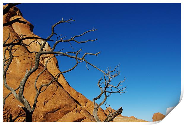 Colours of Arches National Park, Utah Print by Claudio Del Luongo