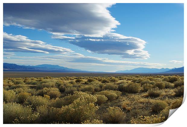High desert impression, Nevada Print by Claudio Del Luongo