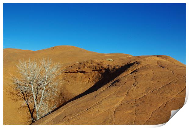 Orange rock hill with white dry tree under blue sk Print by Claudio Del Luongo