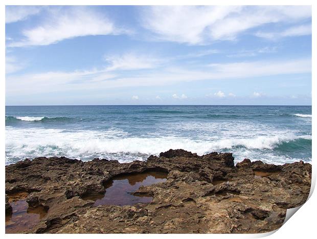 Rocky Coastline Hawaii North Shore Print by Paula Guy