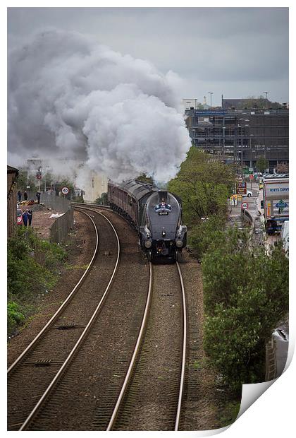 Union of South Africa 60009 Print by craig beattie