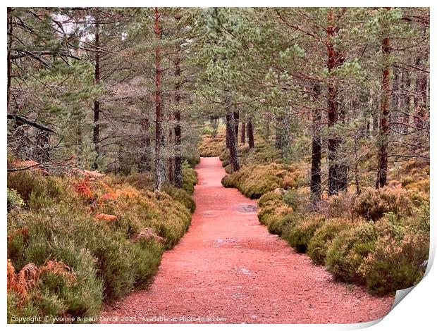 Walking in the forest around Loch an Eileen Print by yvonne & paul carroll