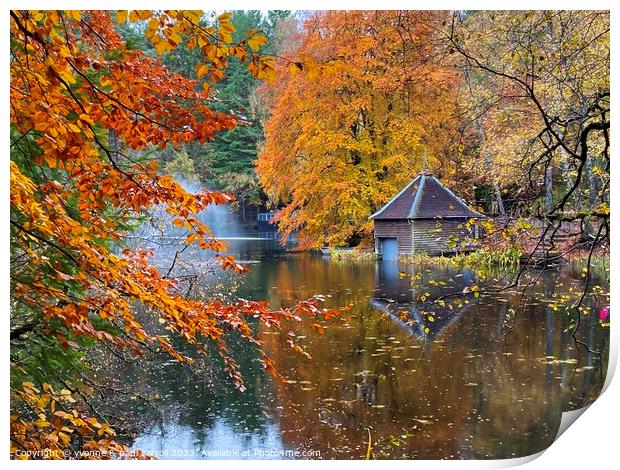Loch Dunmore boathouse in Autumn Print by yvonne & paul carroll