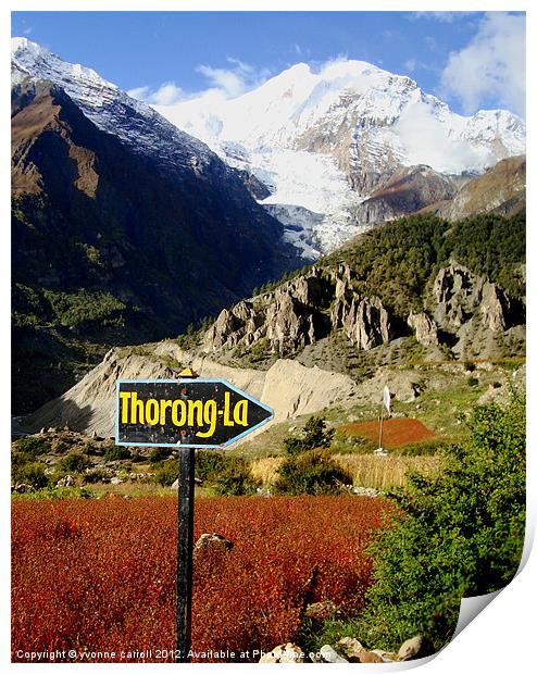To the Thorong-La Pass, Nepal Print by yvonne & paul carroll