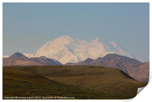 Mount McKinlay, Alaska Print by yvonne & paul carroll