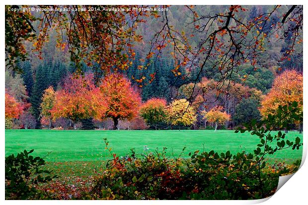  Autumn in Kenmore  Print by yvonne & paul carroll