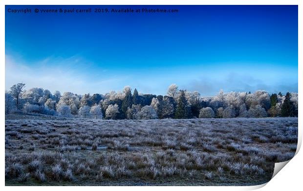 Winter frosted trees, looking out from Garscube  Print by yvonne & paul carroll