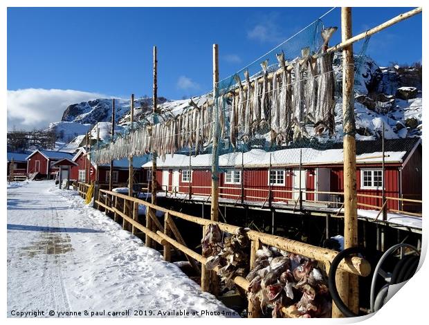 Cod hanging out to dry, Nusfjord, Lofoten Islands Print by yvonne & paul carroll