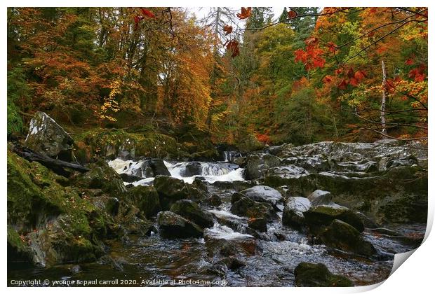 River Braan at the Hermitage Print by yvonne & paul carroll