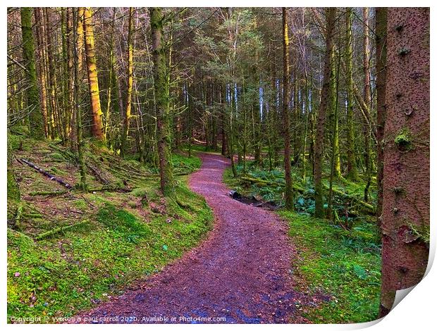 A walk in the woods Print by yvonne & paul carroll