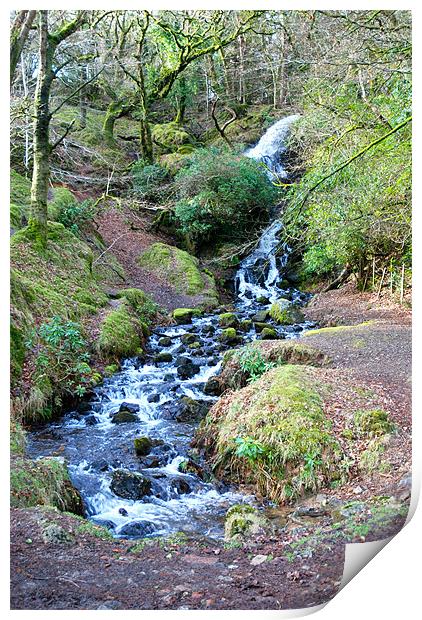 babbling stream on Dartmoor Print by Lynne Easton