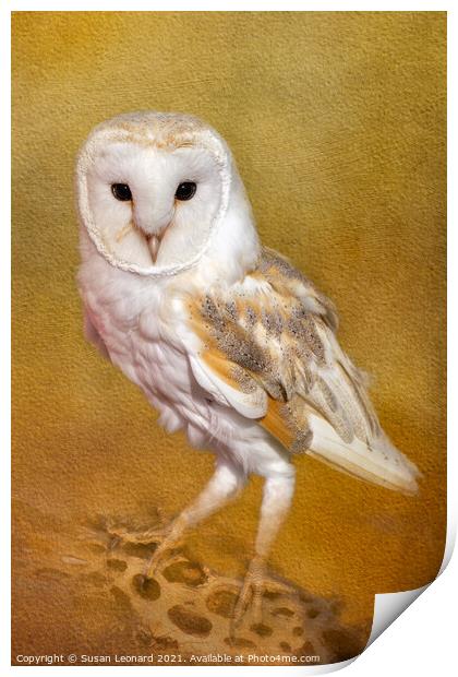 Barn Owl Print by Susan Leonard