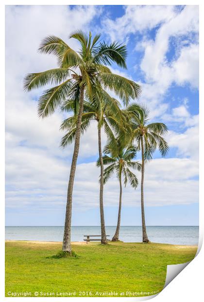 Palm Trees by the Pacific Print by Susan Leonard