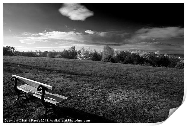 The Bench Print by David Pacey
