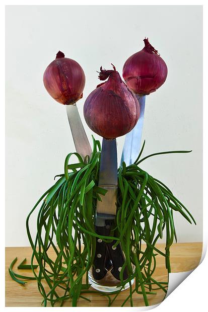 RED ONIONS Print by David Pacey
