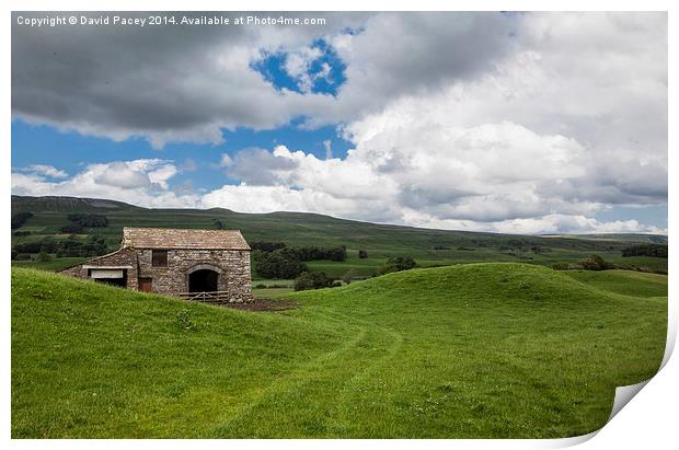 Yorkshire Dales Print by David Pacey