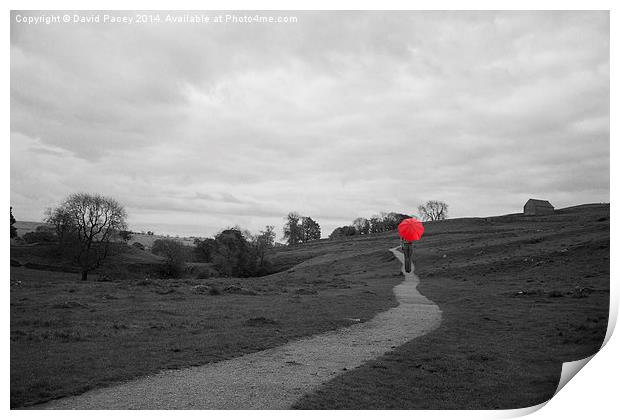  Red Umbrella Print by David Pacey