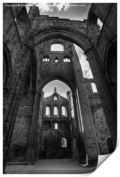  Kirkstall Abbey Print by David Pacey