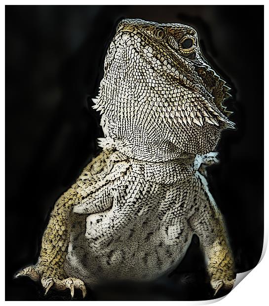 Posterized Bearded Dragon Print by Tom Reed