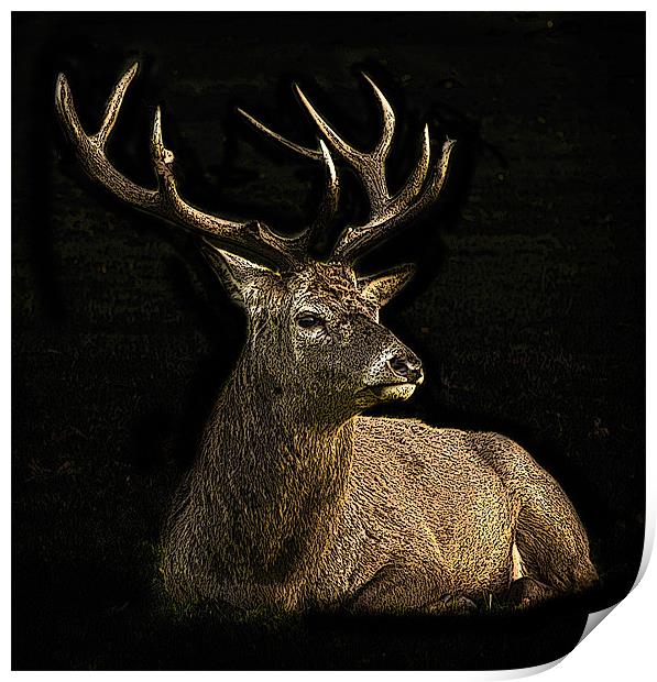 Posterised deer Print by Tom Reed