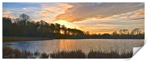 Wollaton park HDR Print by Tom Reed