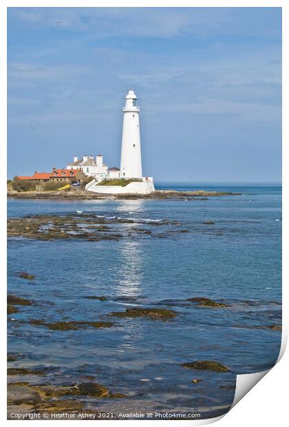 St Mary's Lighthouse Print by Heather Athey