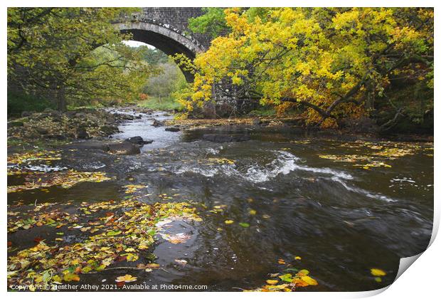 Autumn river Print by Heather Athey