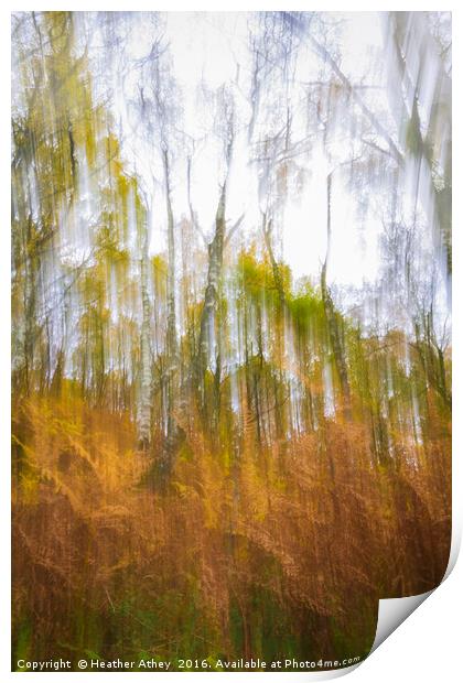 Fall  Print by Heather Athey