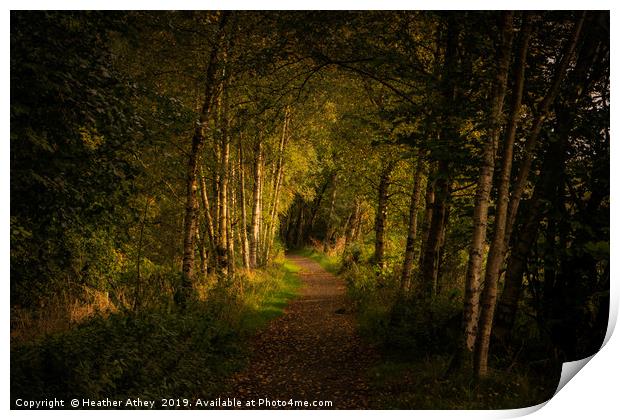 Heading for the Light Print by Heather Athey