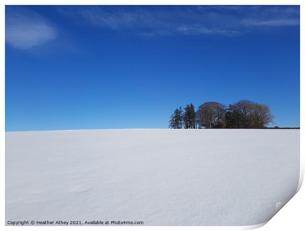 After the snowstorm Print by Heather Athey