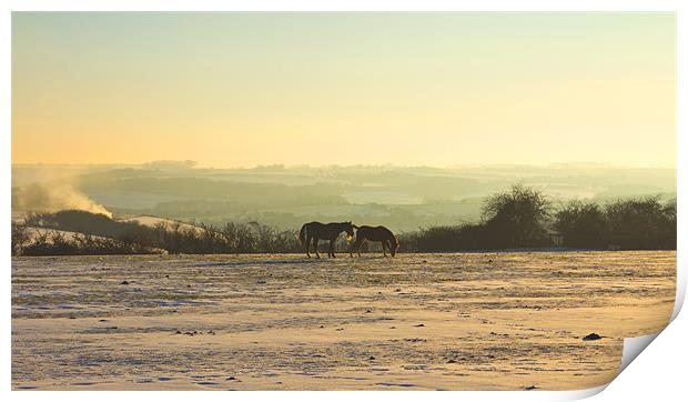 Cotswold Snowy Sunset Print by Oliver Walton