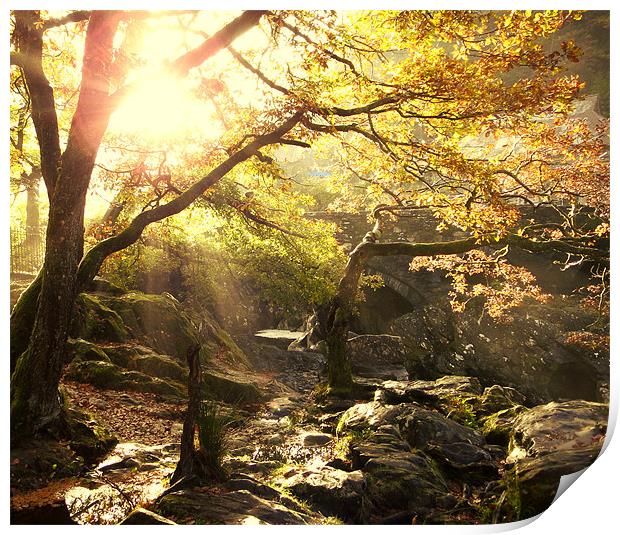 Morning Sun in Betws-Y-Coed Print by Phil Tinkler
