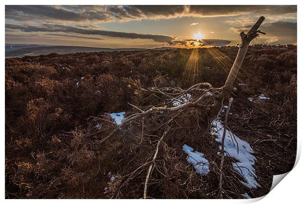 Sunset in the North Yorkshire Moors Print by Phil Tinkler