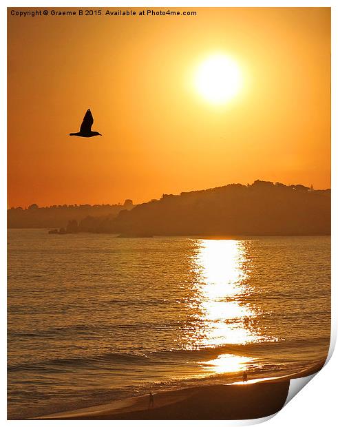 Flying into Sunset  Print by Graeme B