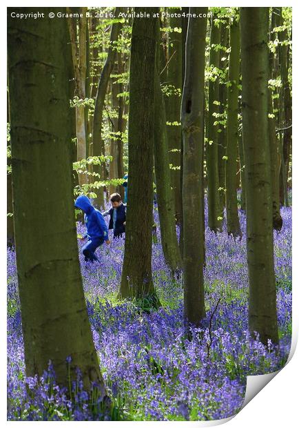 Playing in Bluebell Woods Print by Graeme B
